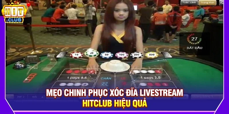 Mẹo Chinh Phục Xóc Đĩa Livestream Hitclub Hiệu Quả